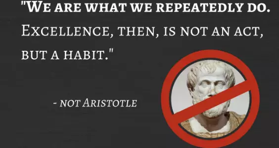 Excellence is a Habit Quote Meaning