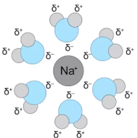 NACl Intermolecular Forces